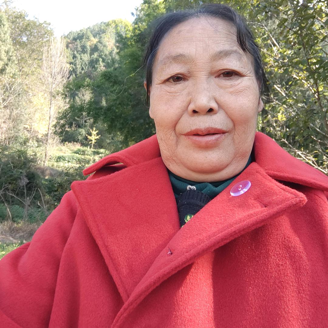 巴山陈大姐