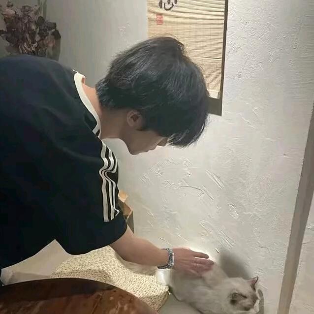 不眠雨🐟