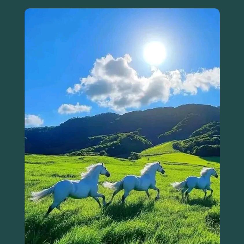 浪八圈