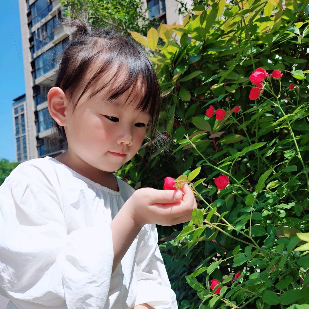 芈麓
