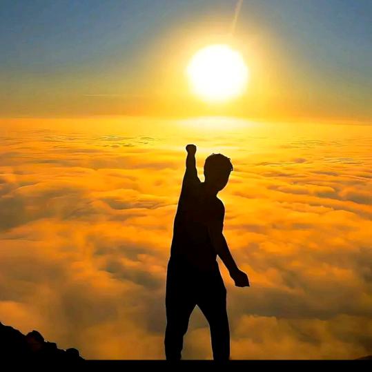 （老男孩）青松