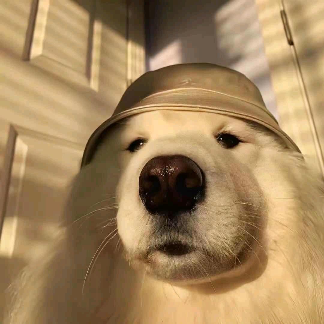 echo