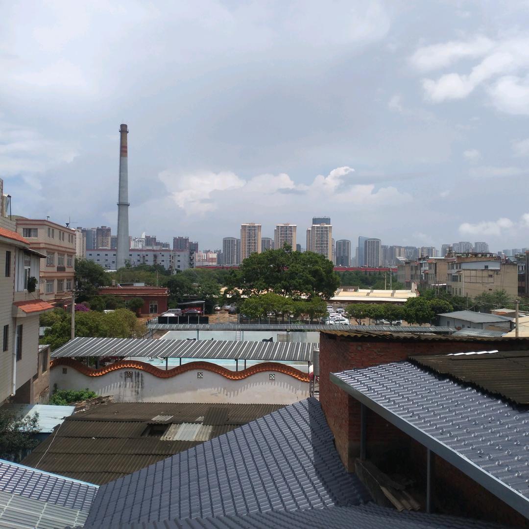 赵志明