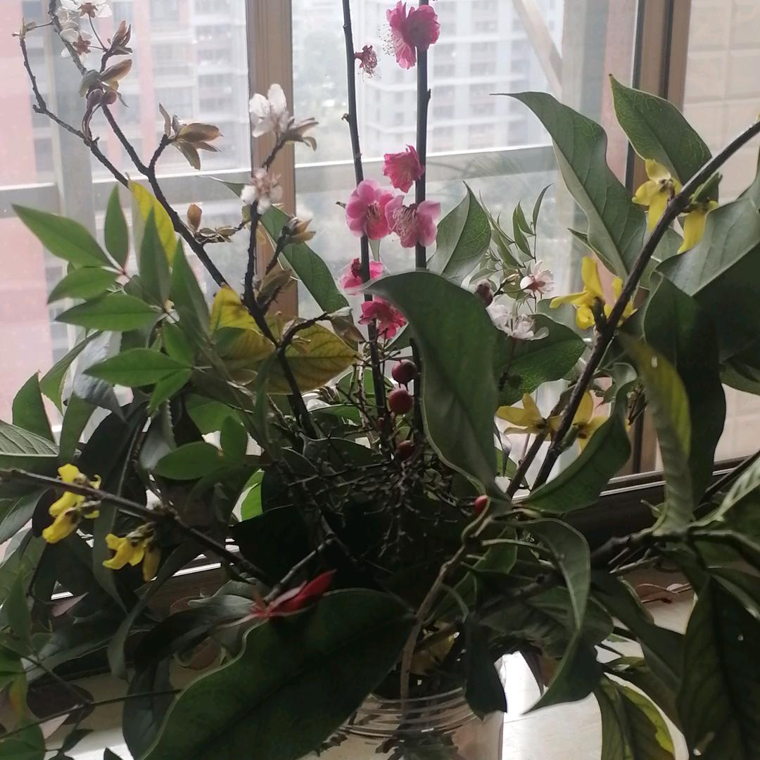 真真家政中介小店，找工作，找阿姨，做保洁