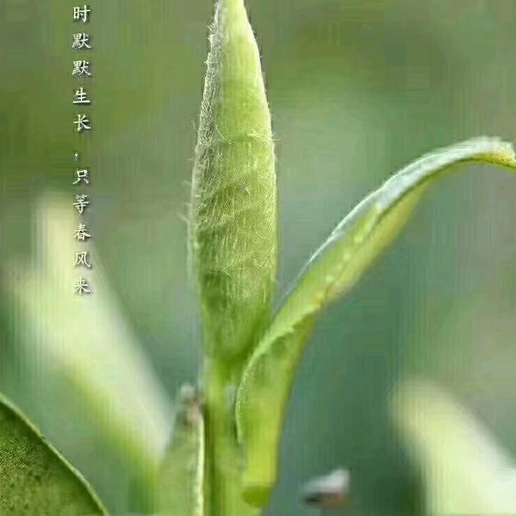 康宁之源