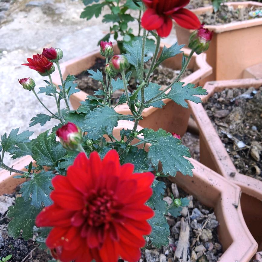 与世无争