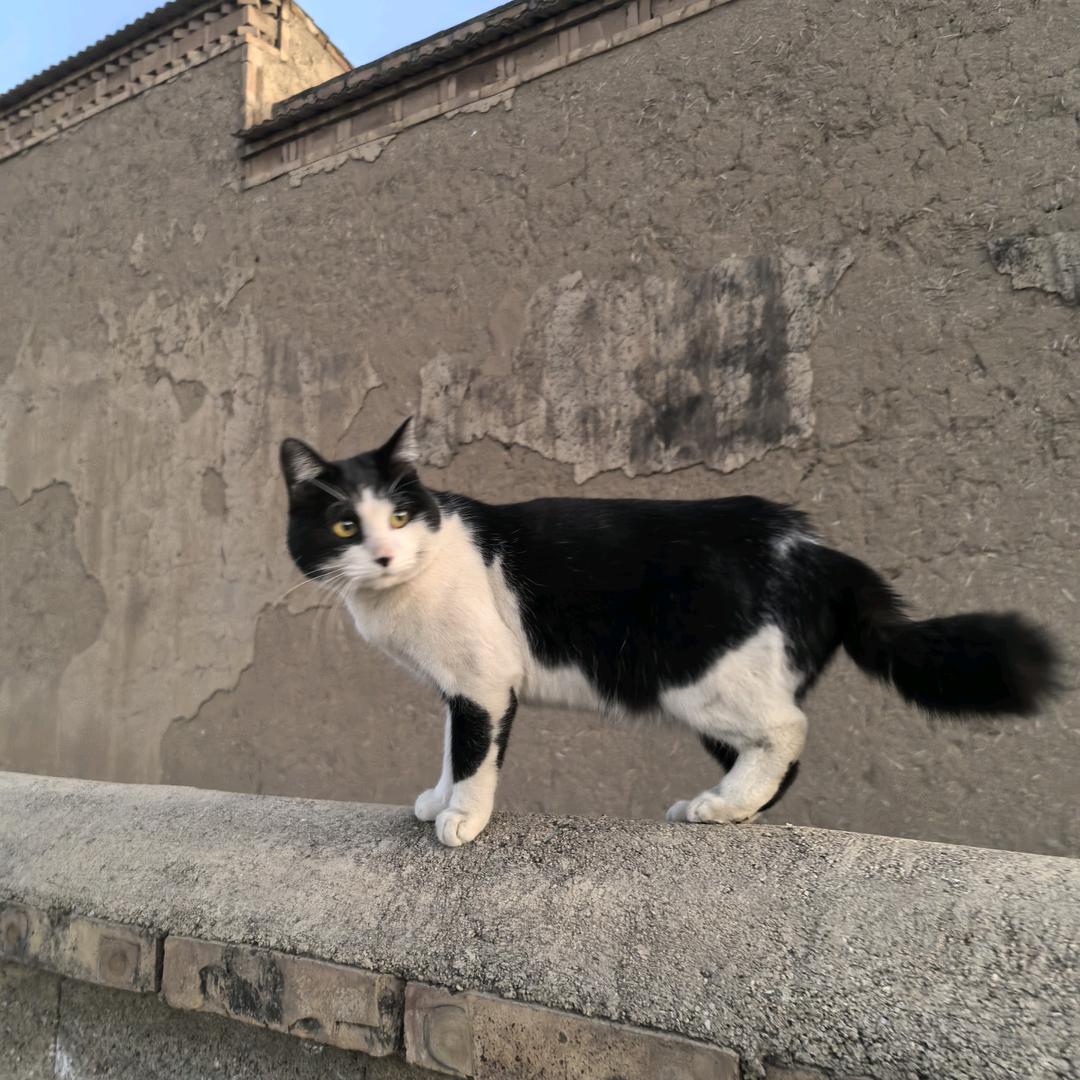 华盛视频