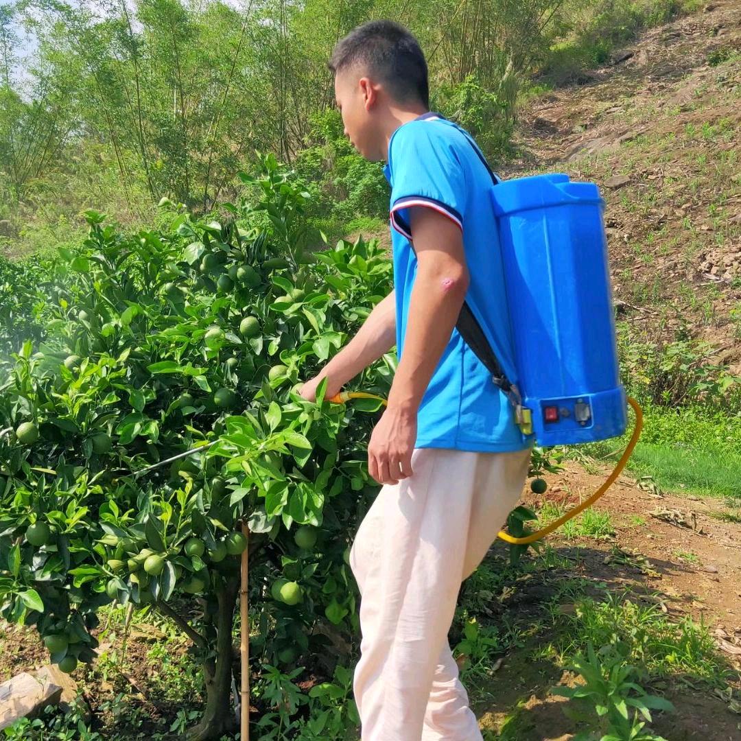 我家临沧