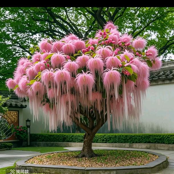 @༊ღ᭄遇ꦿ꯭見伱꧔