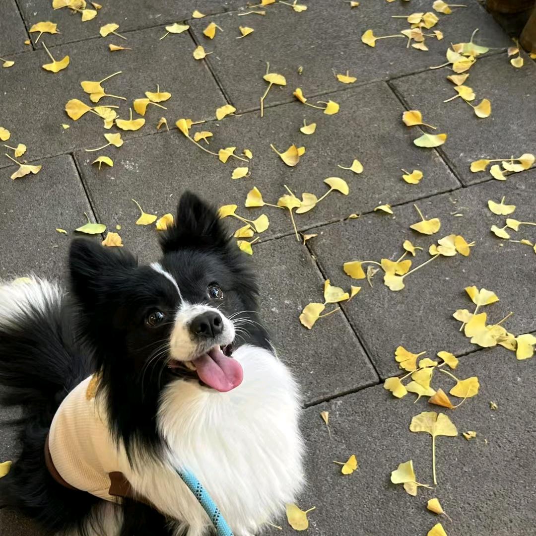 不想睡地板的老板