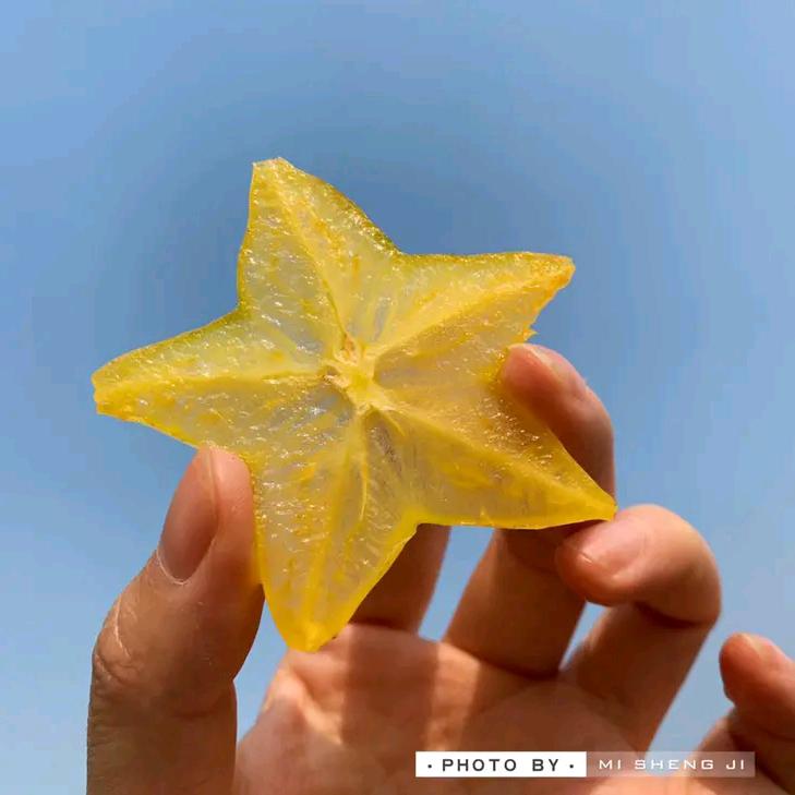 柠檬初梦🍋