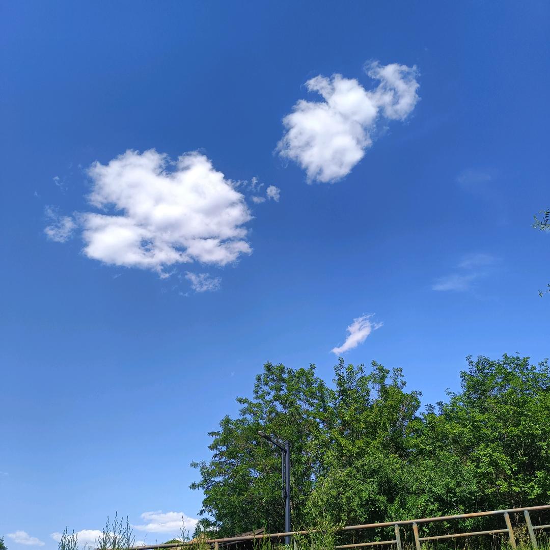 广州芹丹直播833号