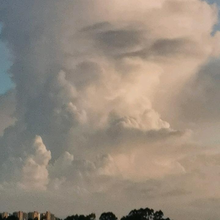 秋天心碎的落叶