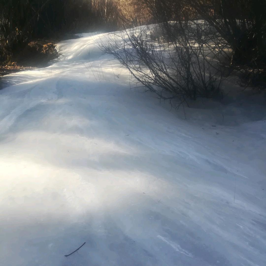 用户8544426086623，向前走