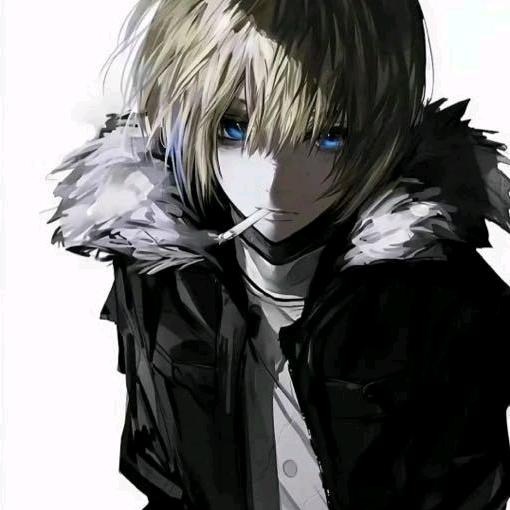 花衬衫狐狸先生