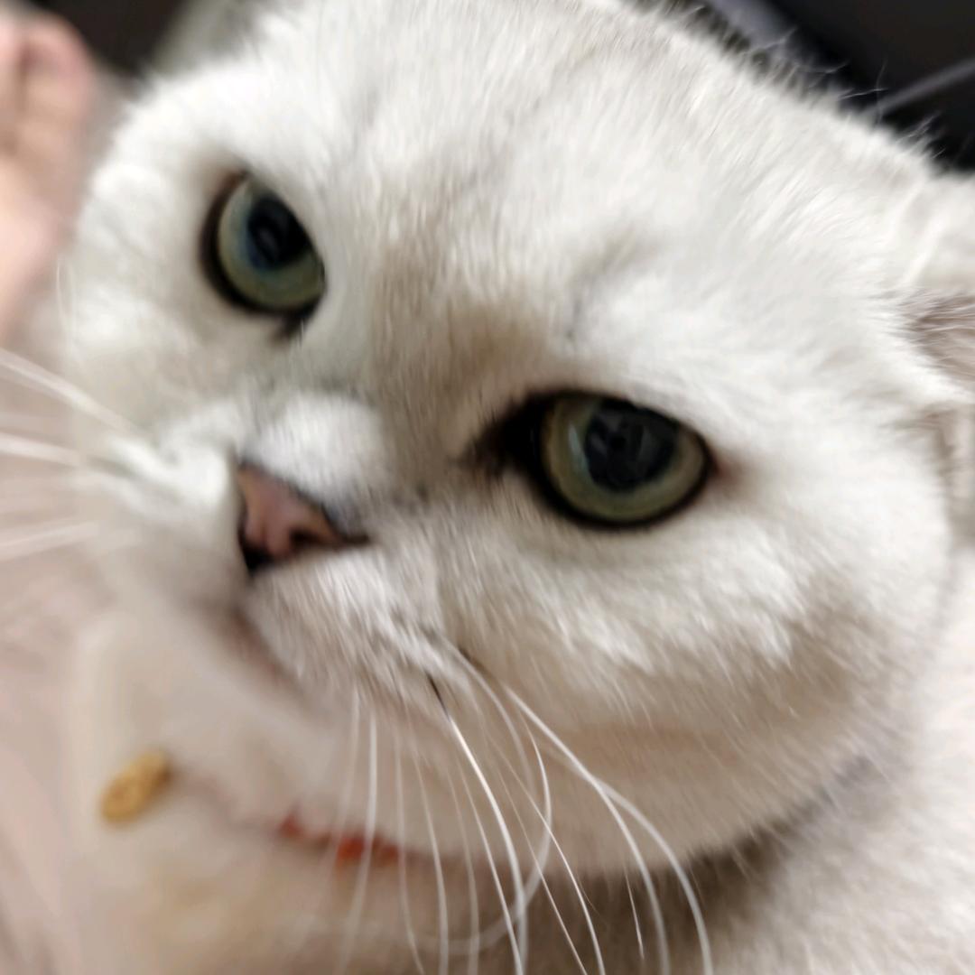 叶叶叶