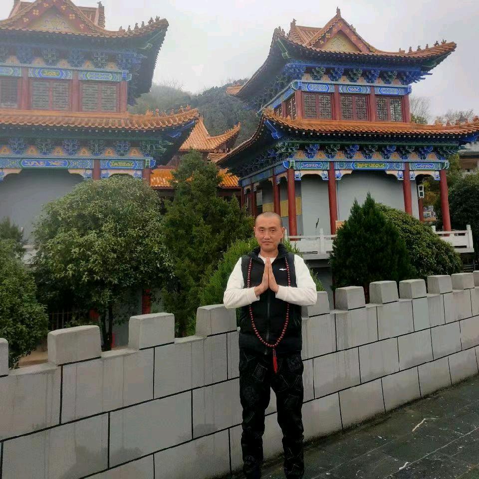 东哥宠物