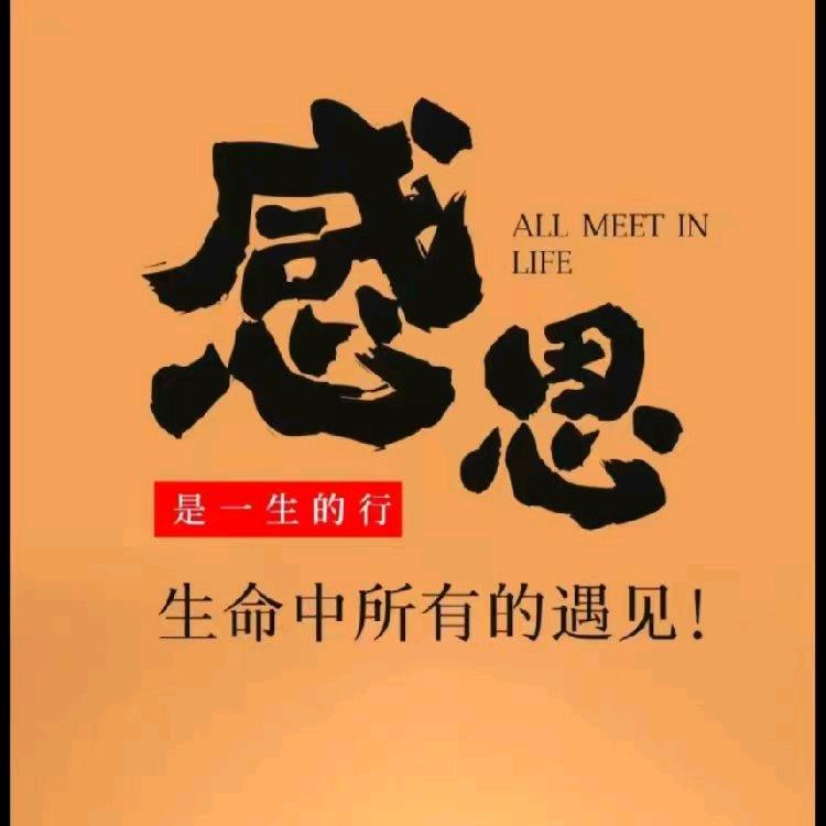 红参一快乐本真