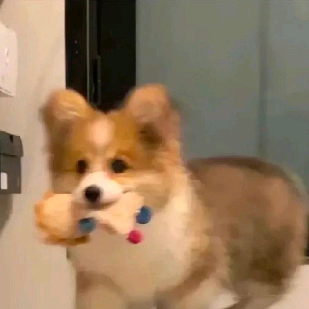 DooOG