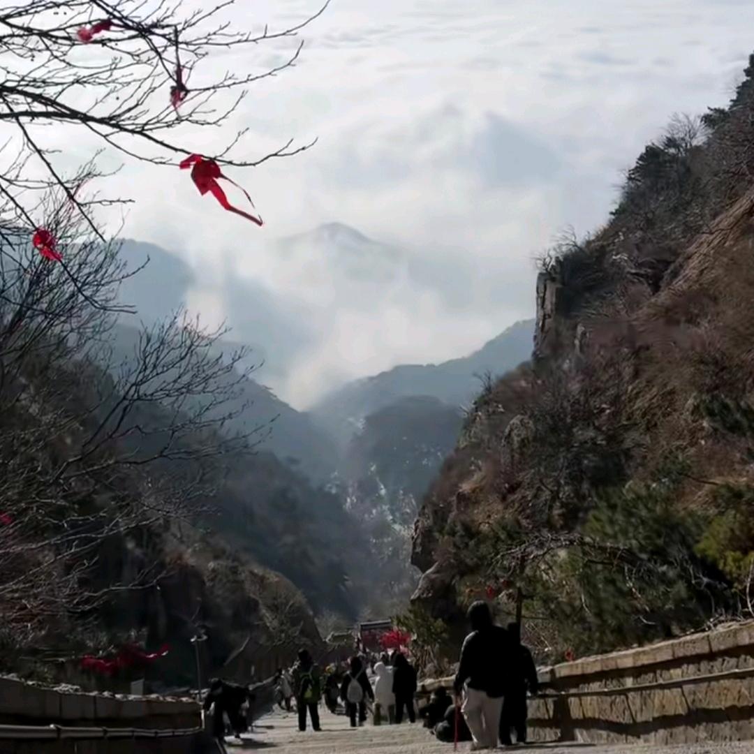 困的睡不醒。
