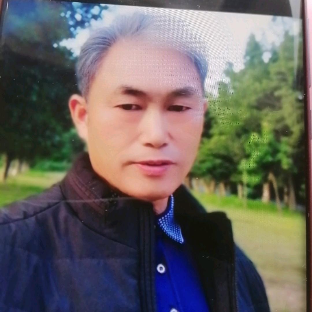 诸葛仙