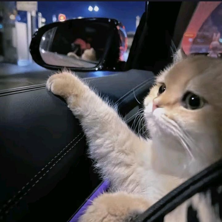 自然凉