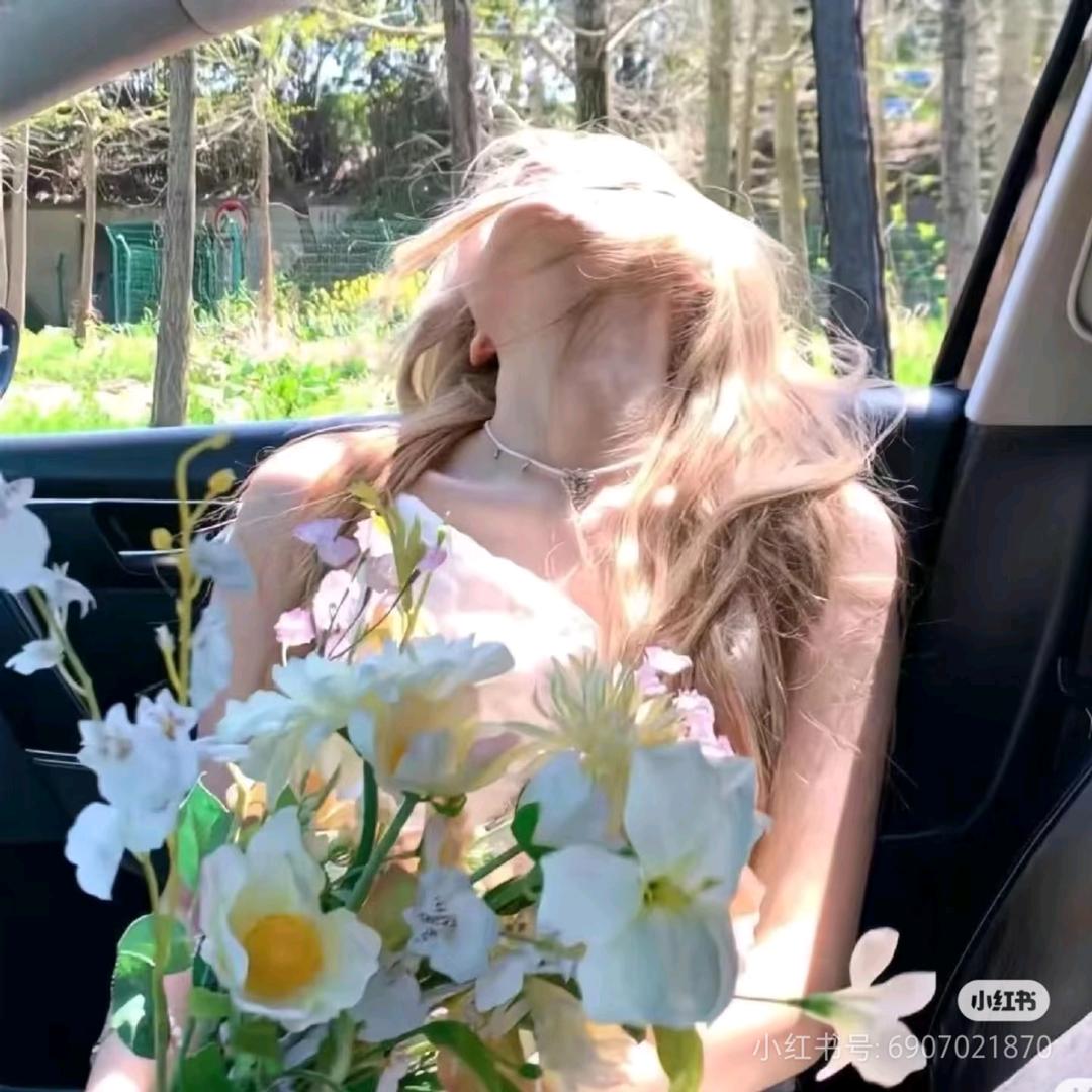 取代日落🌻³⁴⁵