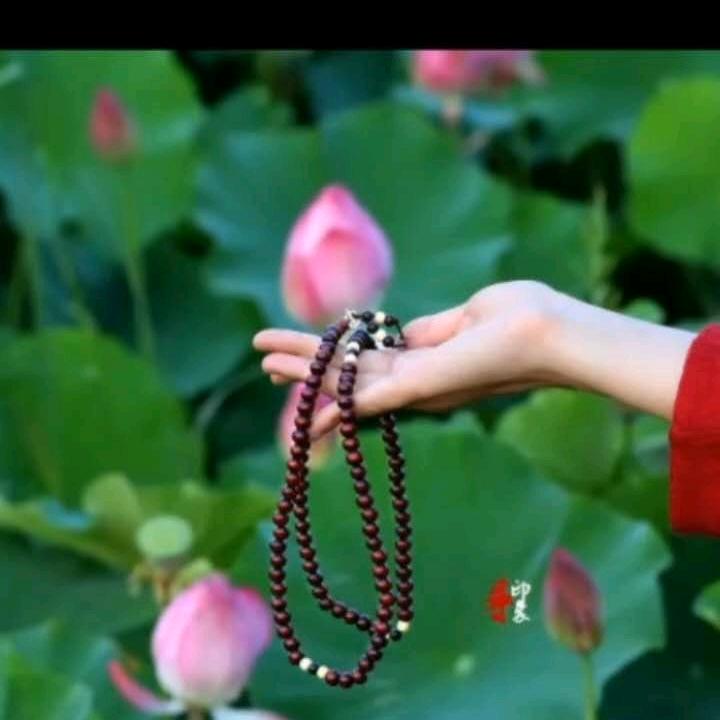 岁月悠悠