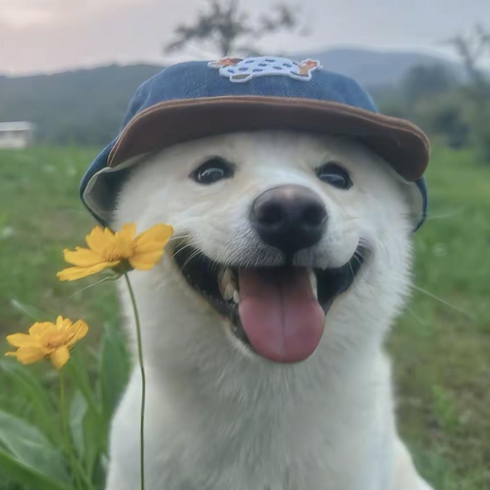 邓我一会儿