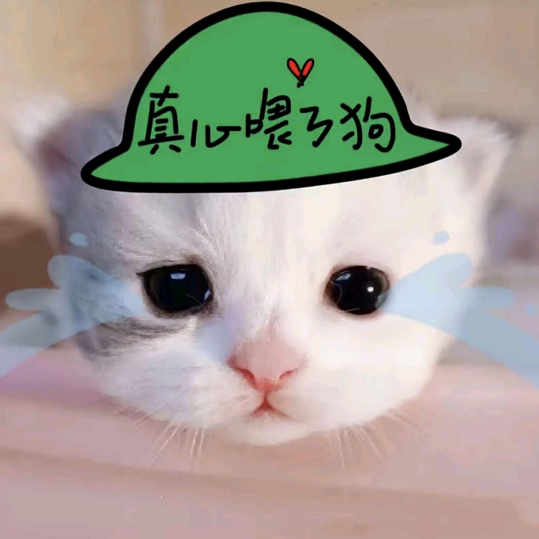 欲语泪先流