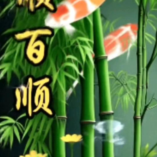 🍀竹叶青🍃🍃