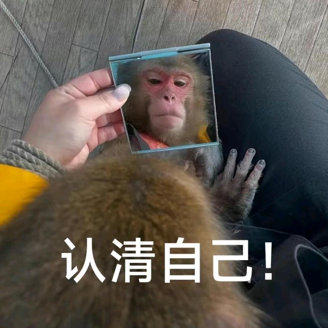 哇塞哇塞