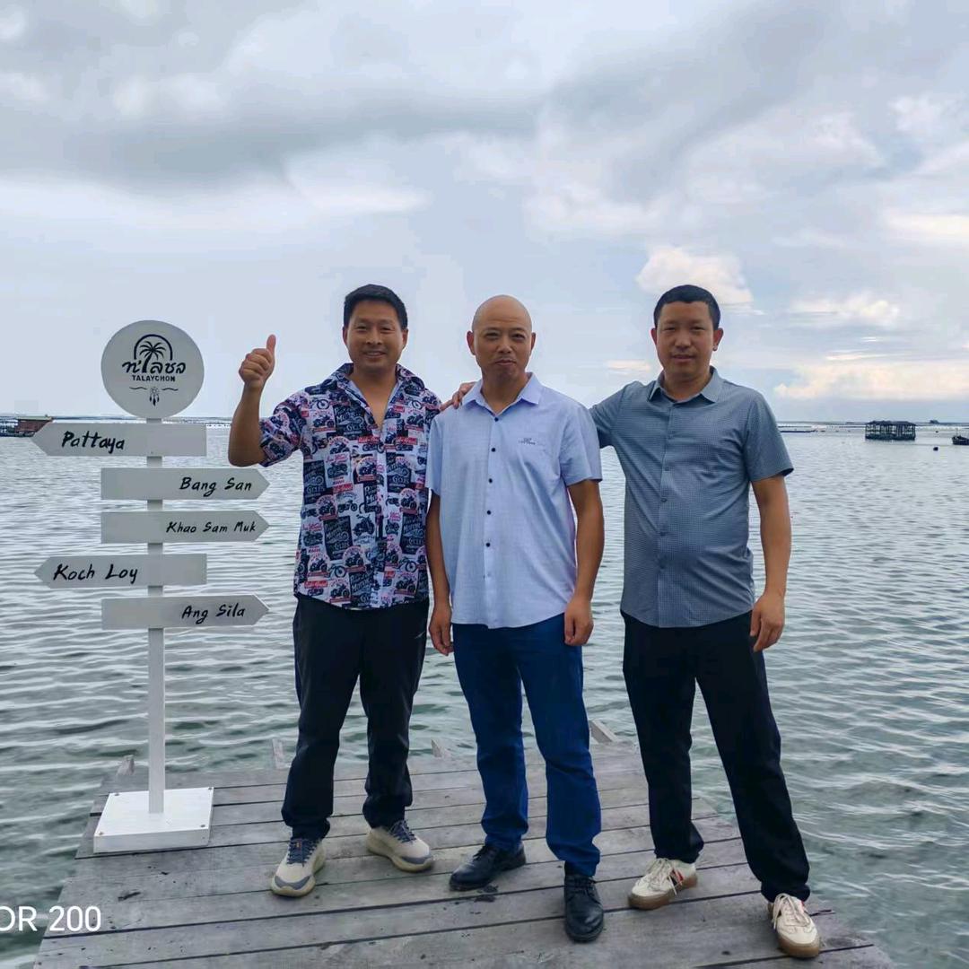 💰余生💁谋财🖐