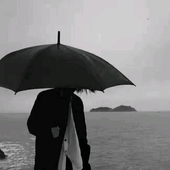 全地球最帅的仔