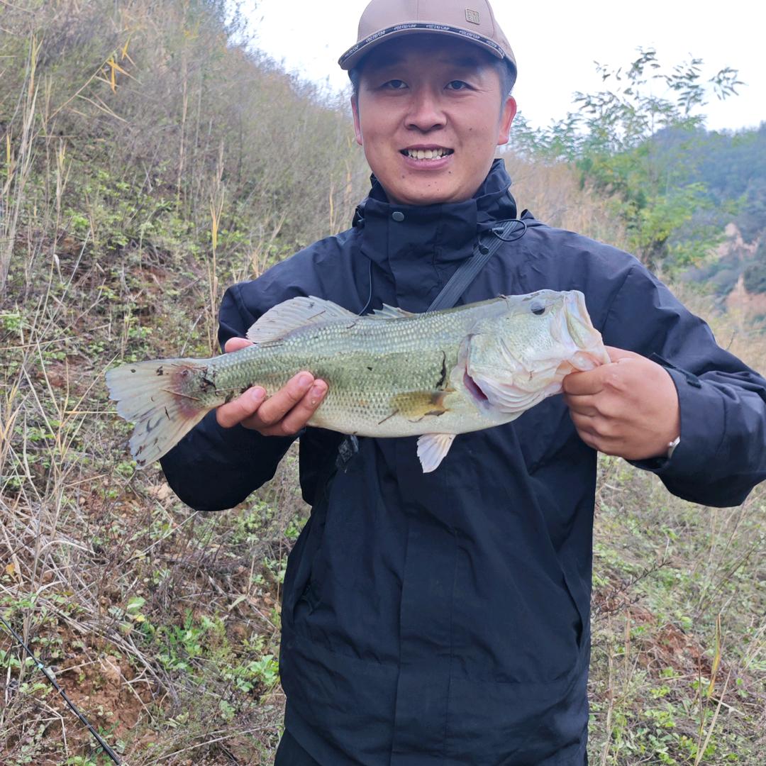 与鲈说