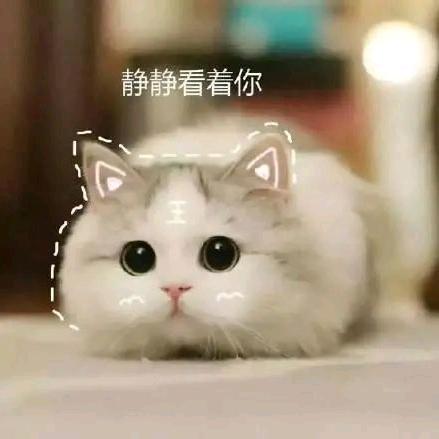 ꒰ঌ手可摘星໌້ᮨ辰໌້ᮨ໒꒱