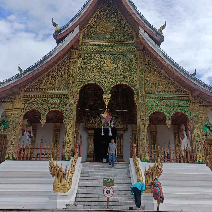 蜜蜂找花朵✔老挝没烦恼