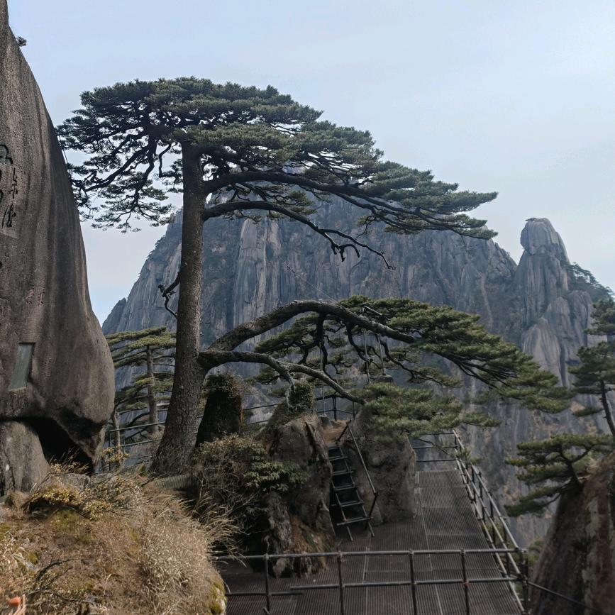 鸿泰装饰
