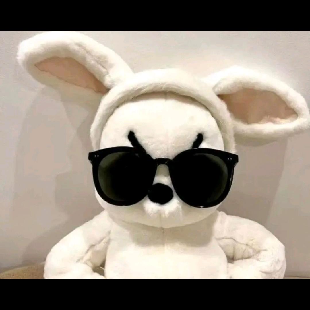 待爆顶流小兔仙儿