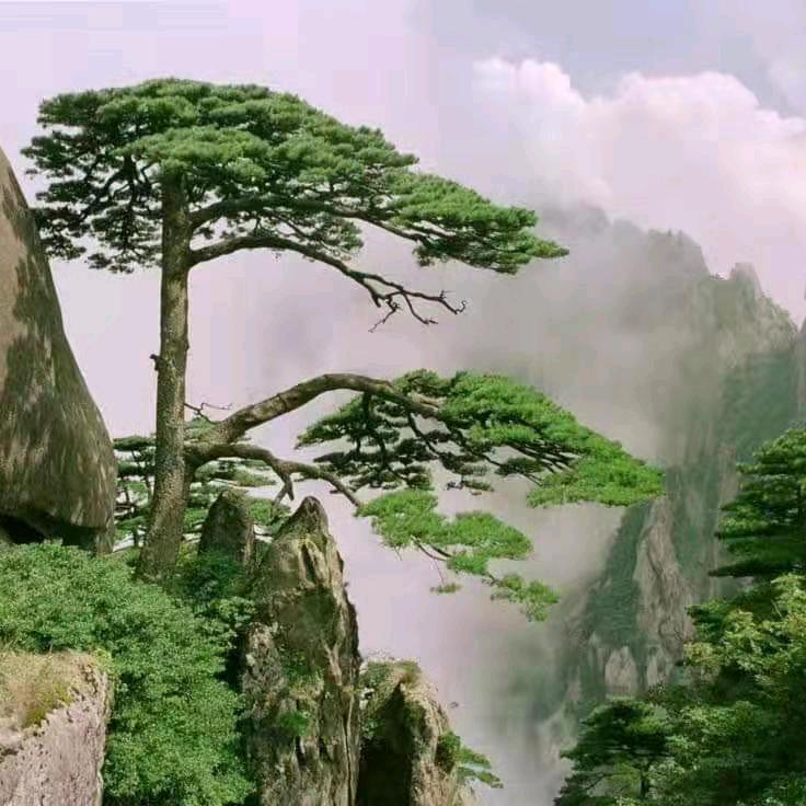 我是阳光明媚