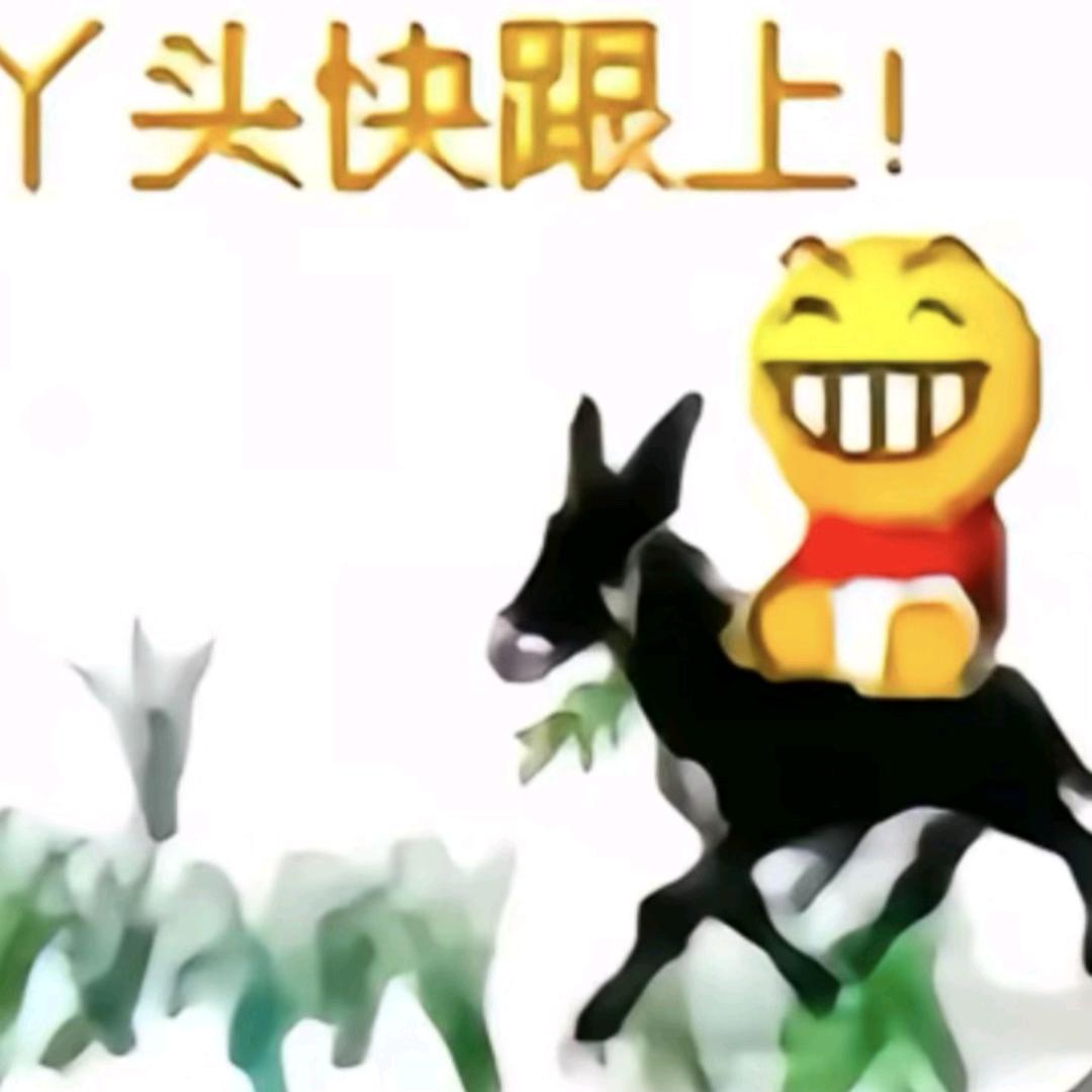 阿辉没有money