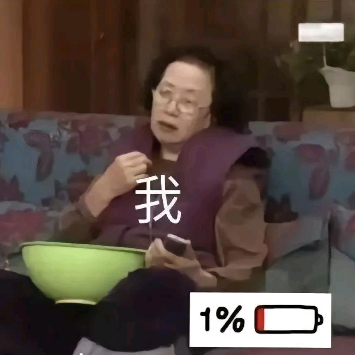 小小豆包
