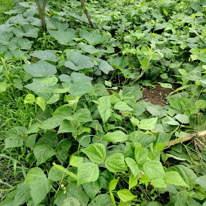 看破世间红尘，