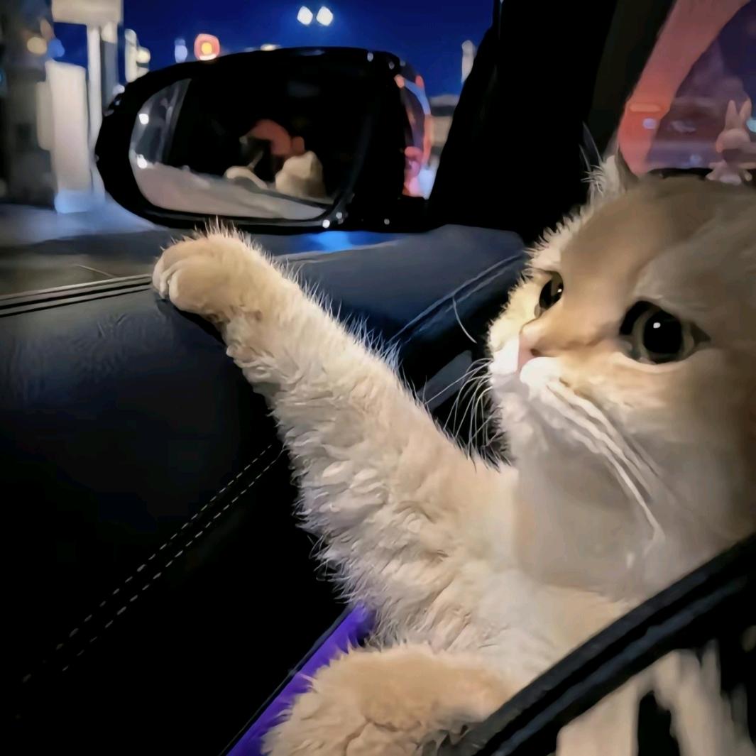 𝓯𝓻𝓮𝓬𝓴