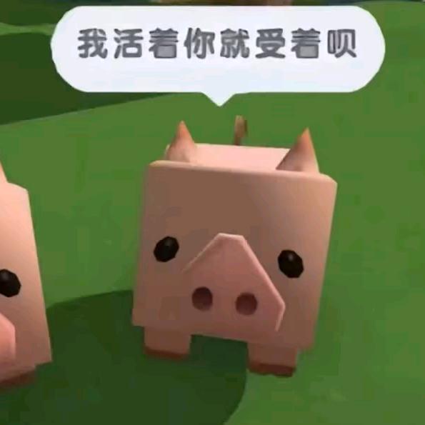 676764