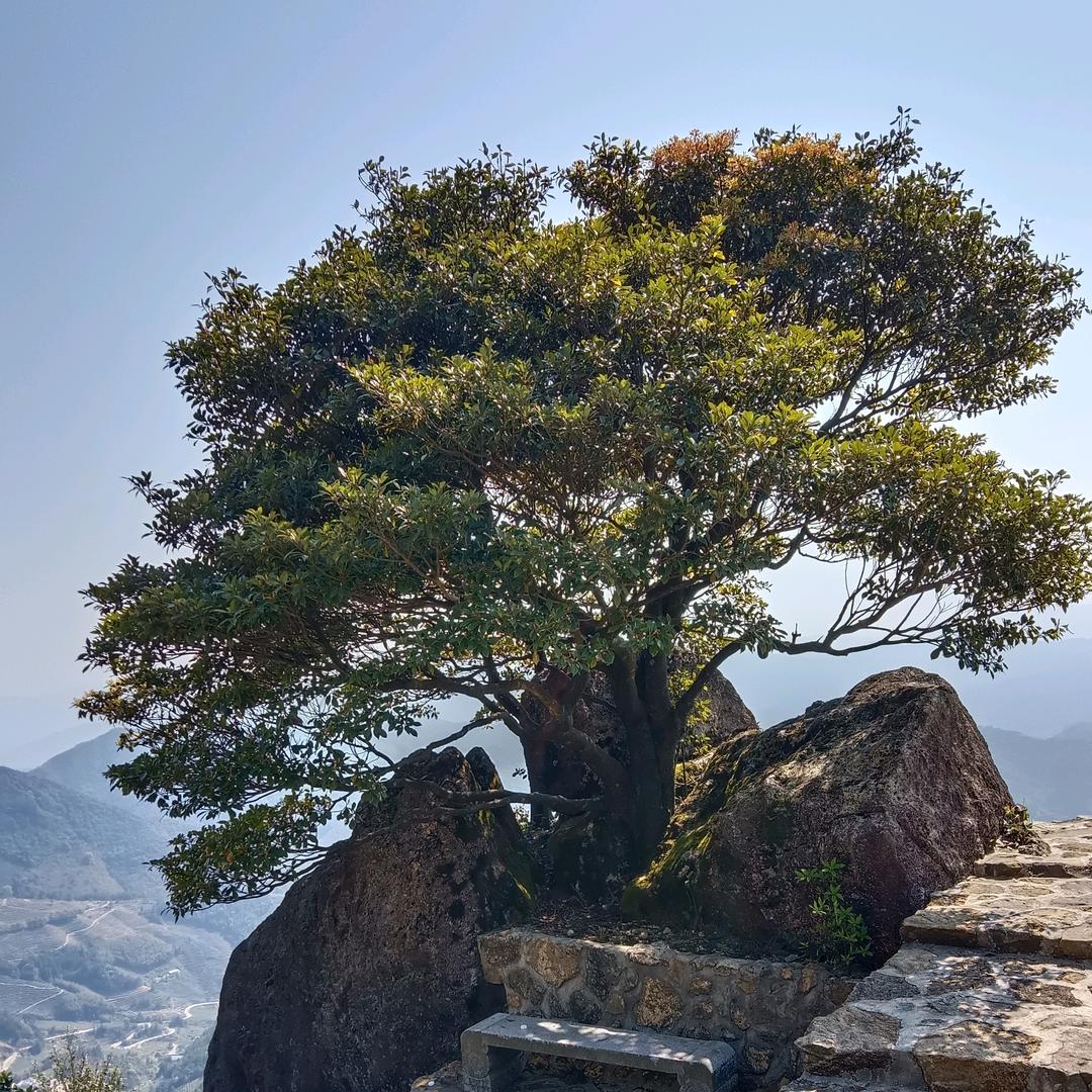 高山空气好