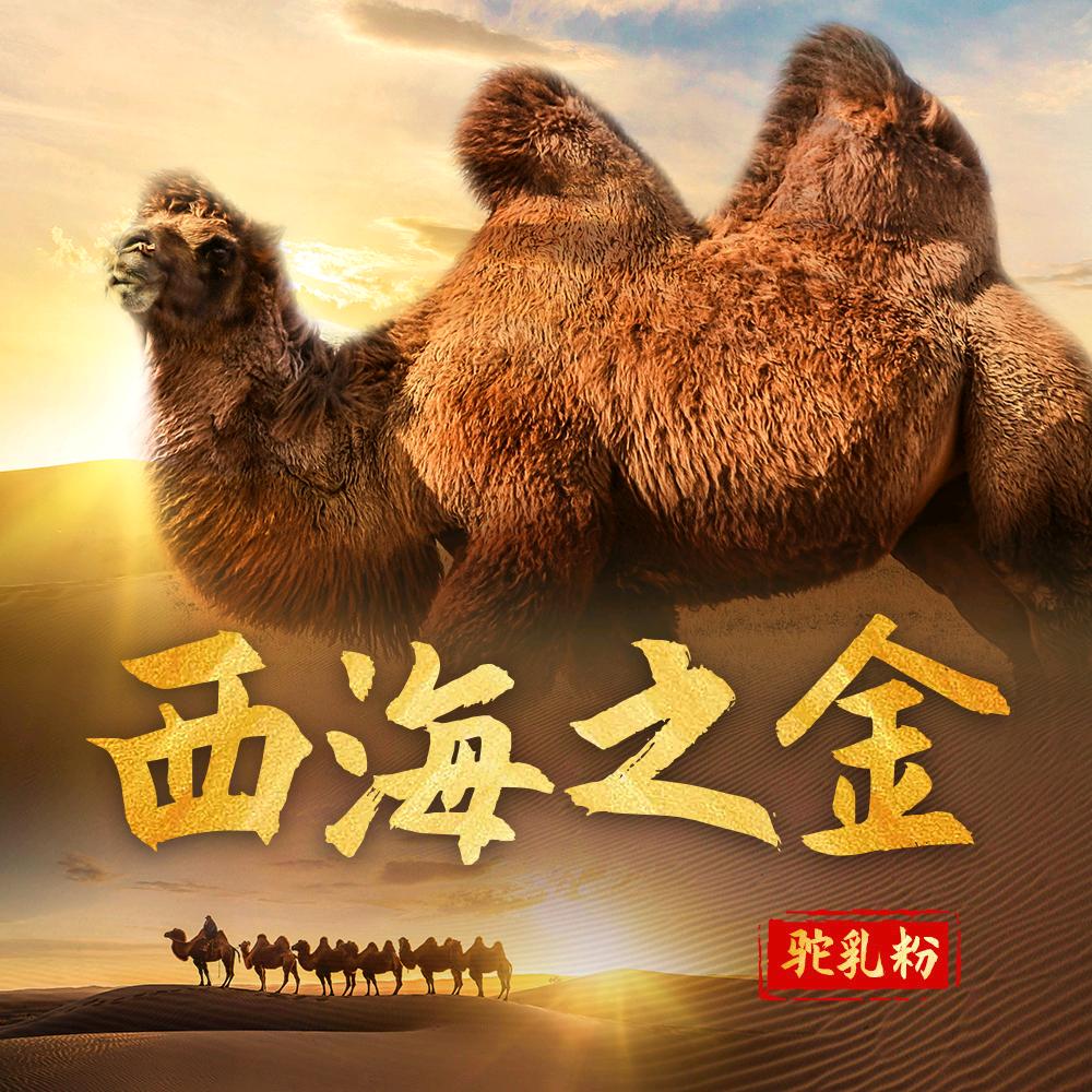 西海之金西海冲饮专卖店