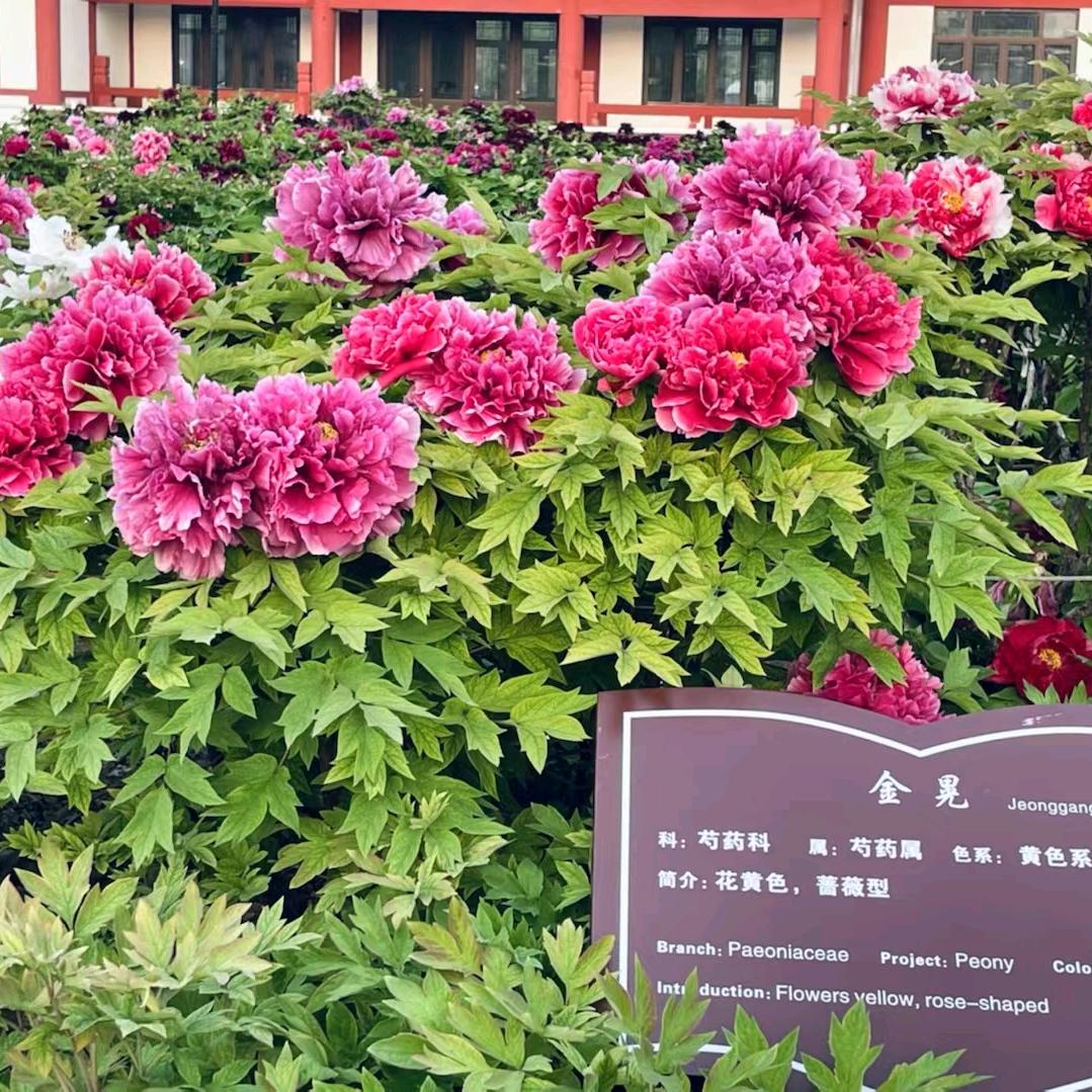 👐格局打开🈶1️⃣说1️⃣