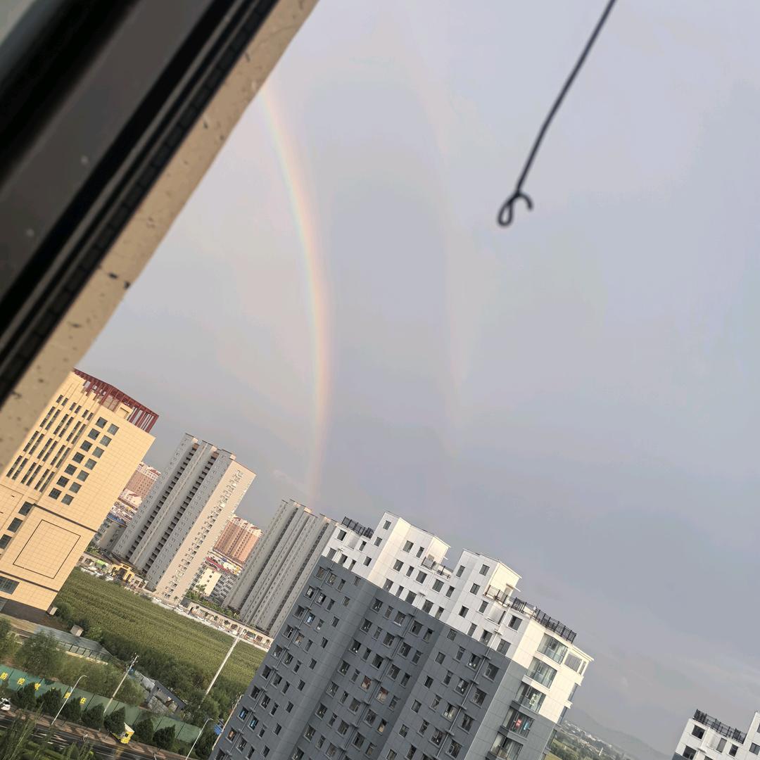 头木剧场
