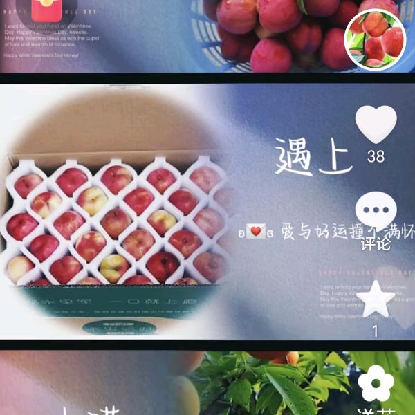 李家果园